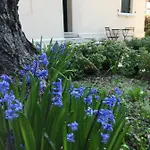 Clara's Place