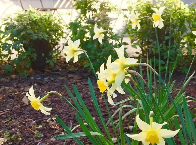 Clara's Place Apartamento